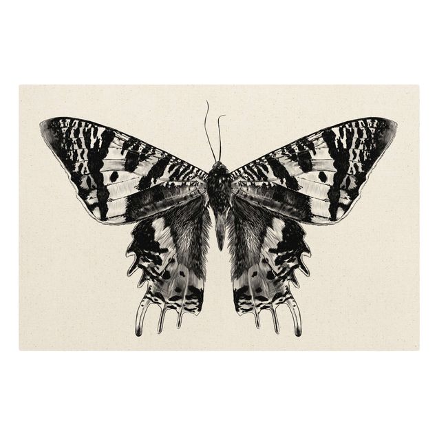 Moderne Leinwandbilder Wohnzimmer Illustration fliegender Madagaskar Schmetterling