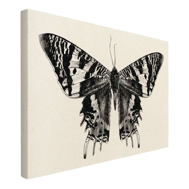 Bilder für die Wand Illustration fliegender Madagaskar Schmetterling