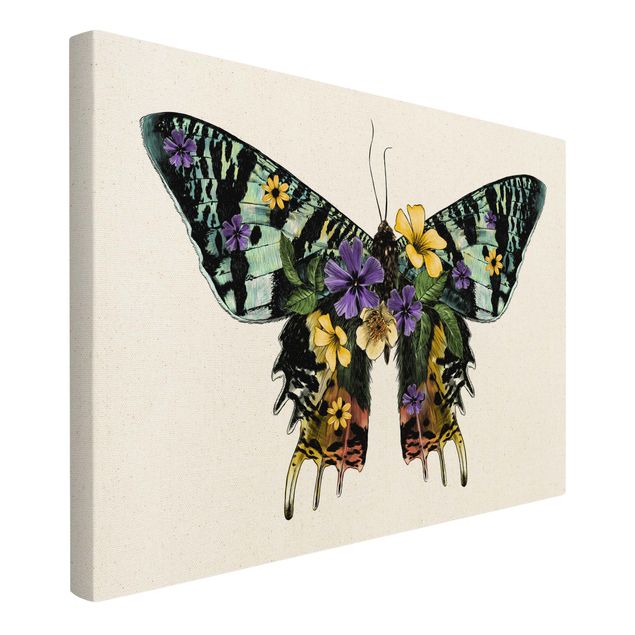 Wandbilder Illustration floraler Madagaskar Schmetterling