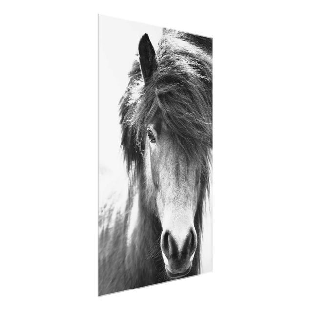 Glasbild Tiere Island Pferd in Schwarz-weiß