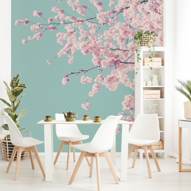 Fototapete modern Japanische Kirschblüte
