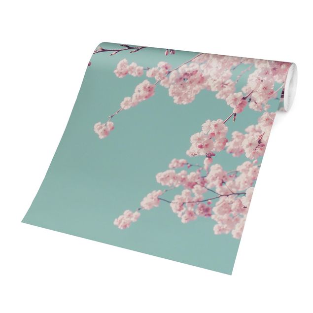 Design Tapete Japanische Kirschblüte
