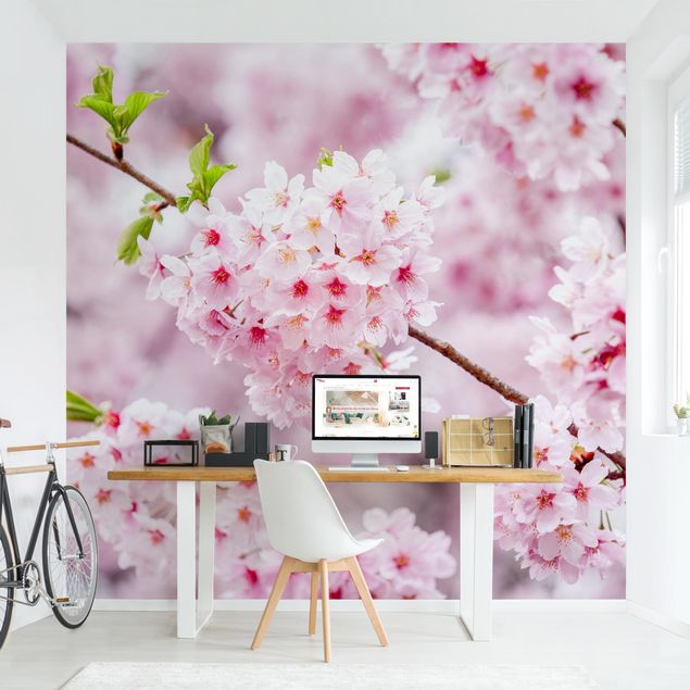Tapeten modern Japanische Kirschblüten