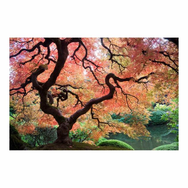 Fototapeten Japanischer Garten