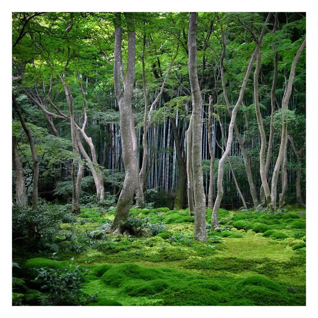 Schöne Fototapete Japanischer Wald