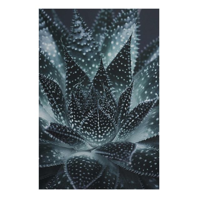 Glasbild - Kaktus mit Sternpunkten bei Nacht - Hochformat