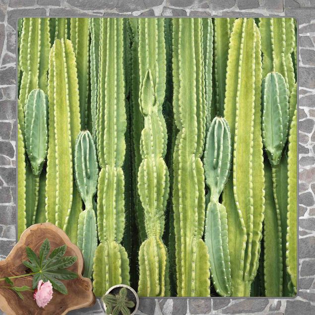 Teppich Blumen Kaktus Wand