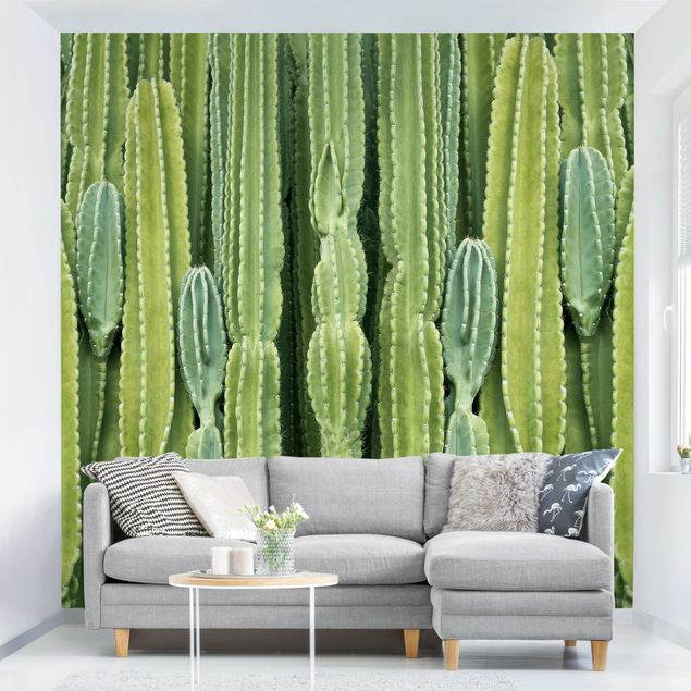 Tapeten Kaktus Wand