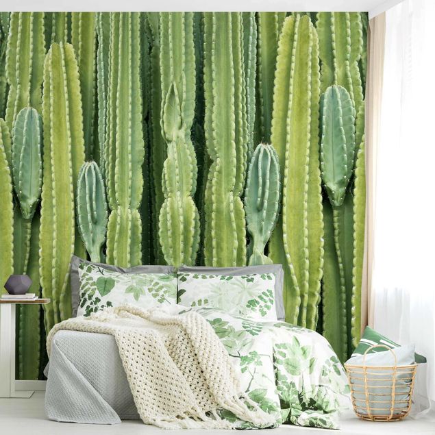 Fototapete Blumen Kaktus Wand