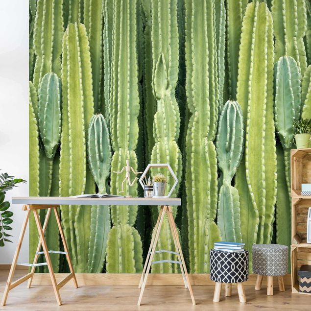 Moderne Tapeten Kaktus Wand