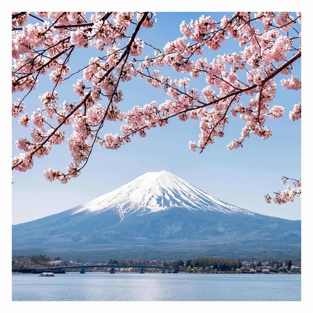 Fototapete Design Kirschblüten mit Berg Fuji