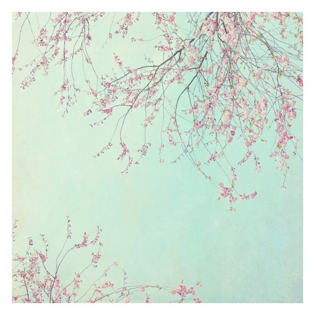 Wandtapete Design Kirschblütensehnsucht