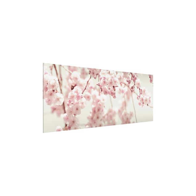 Schöne Wandbilder Kirschblütentanz