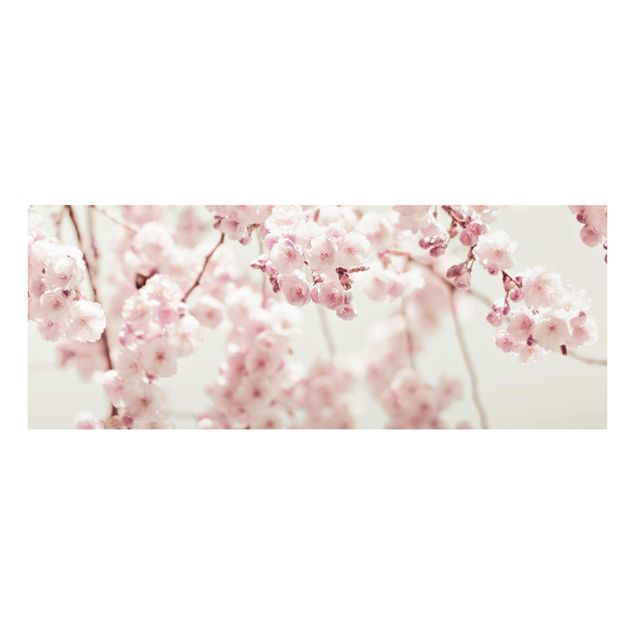 Bilder auf Glas Kirschblütentanz