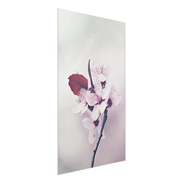 Bilder für die Wand Kirschblütenzweig Altrosa