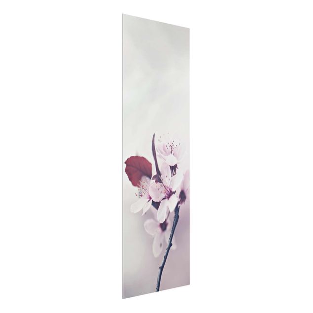 Bilder für die Wand Kirschblütenzweig Altrosa