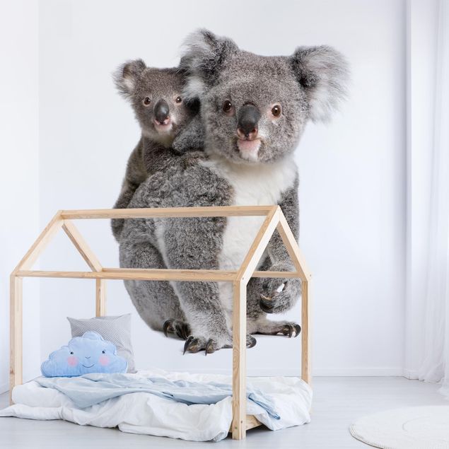 Wandtapete Design Koalabären