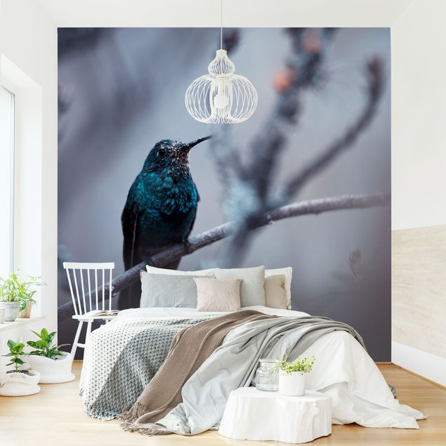 Fototapete modern Kolibri im Winter
