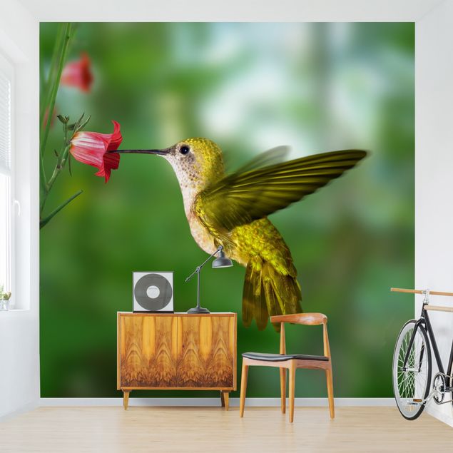 Fototapete modern Kolibri und Blüte
