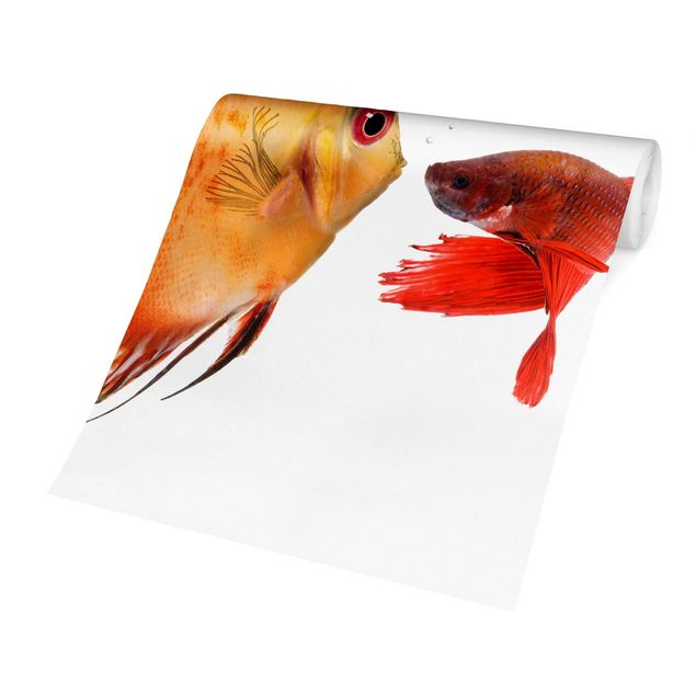 Moderne Tapeten Küssende Fische