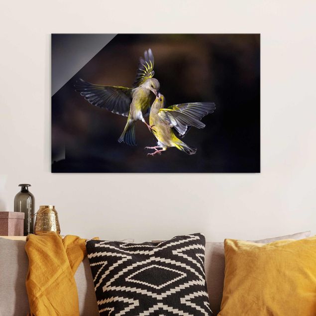 Wandbilder Tiere Küssende Kolibris
