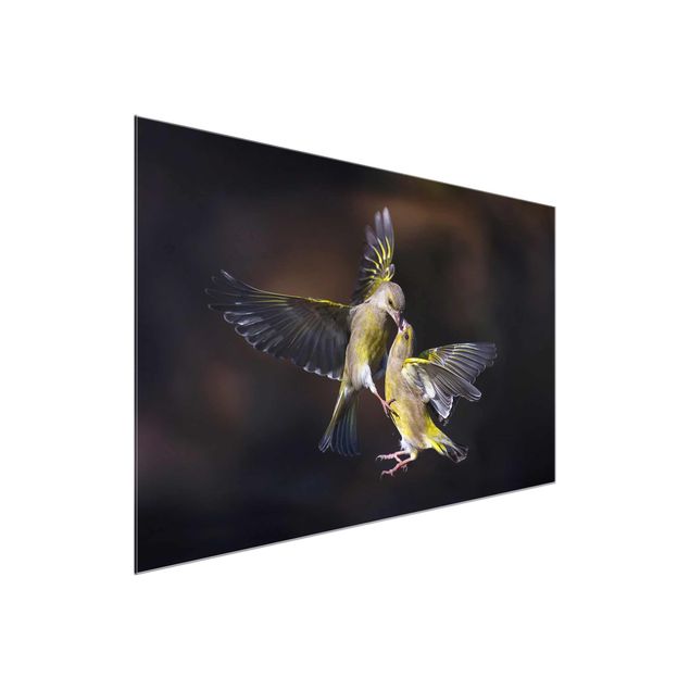 Bilder für die Wand Küssende Kolibris