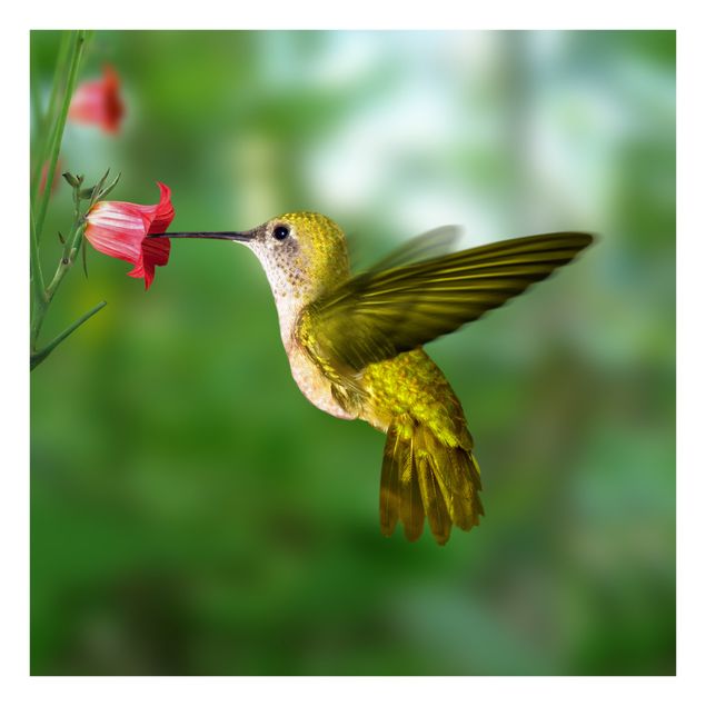 Fensterbild Tiere Kolibri und Blüte