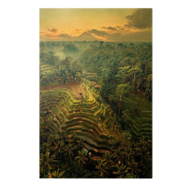 Bilder auf Leinwand Landschaft in Bali