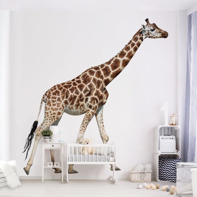 Fototapete modern Laufende Giraffe