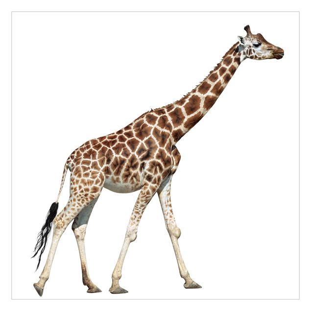 Design Tapete Laufende Giraffe