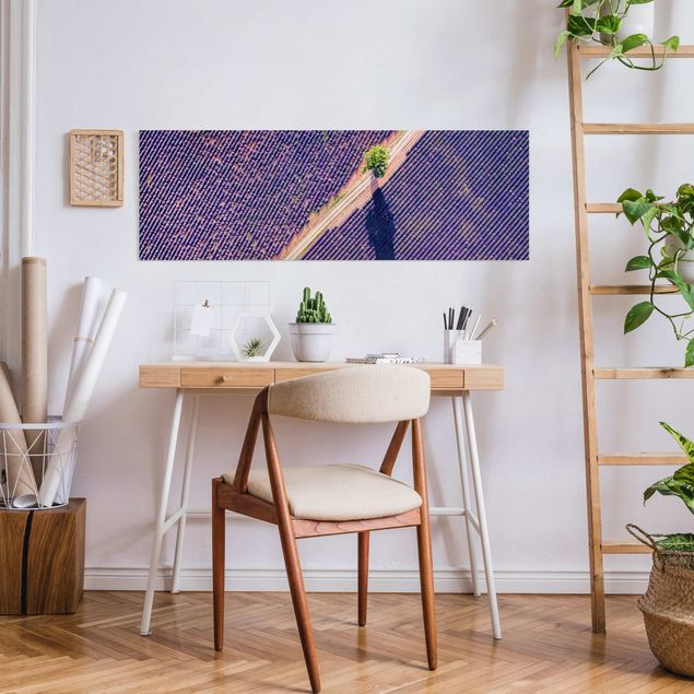 Leinwandbilder Wohnzimmer modern Lavendelfeld Draufsicht