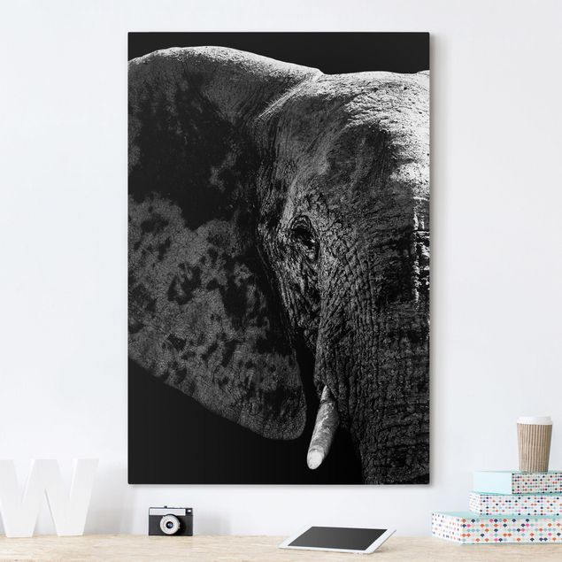 Leinwandbilder Schwarz-Weiß Afrikanischer Elefant schwarz-weiß