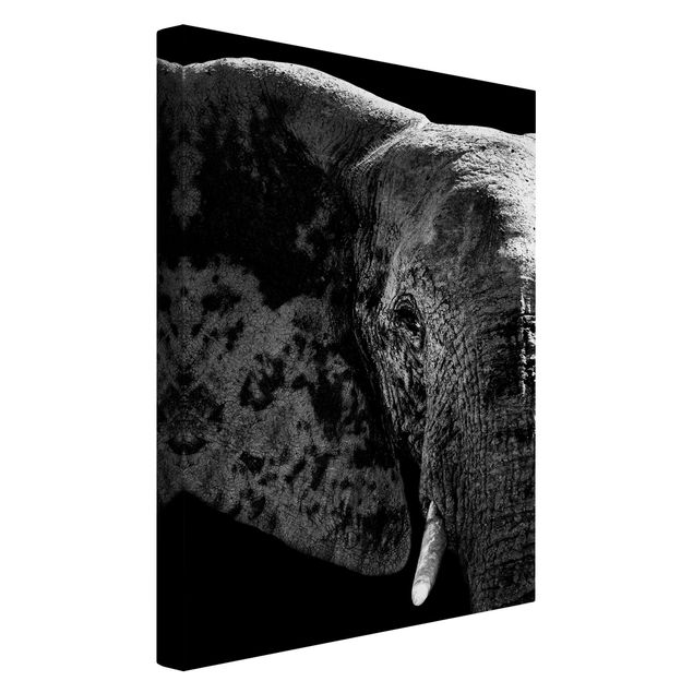 Kunstdrucke auf Leinwand Afrikanischer Elefant schwarz-weiß