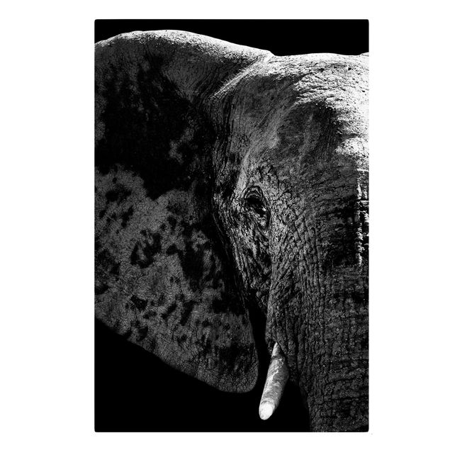Wandbilder Tiere Afrikanischer Elefant schwarz-weiß