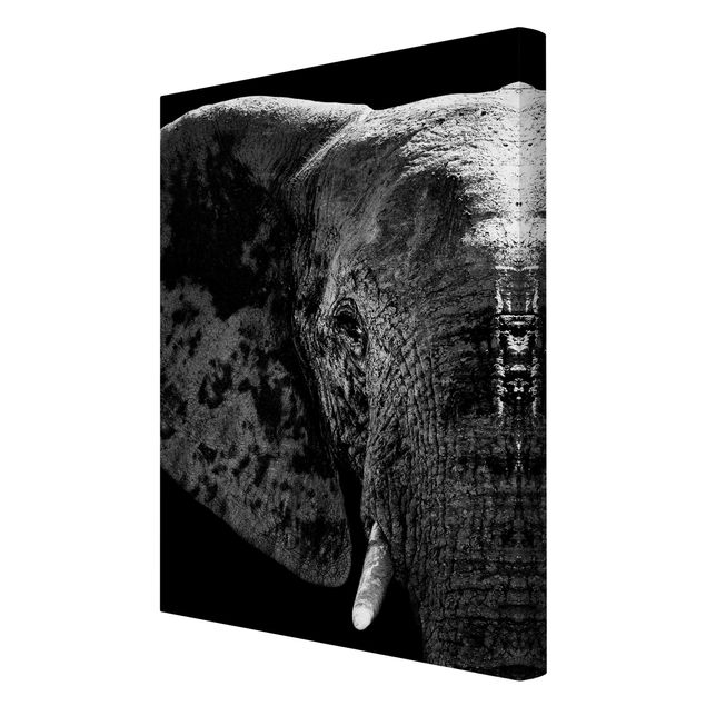 Wandbilder Wohnzimmer modern Afrikanischer Elefant schwarz-weiß
