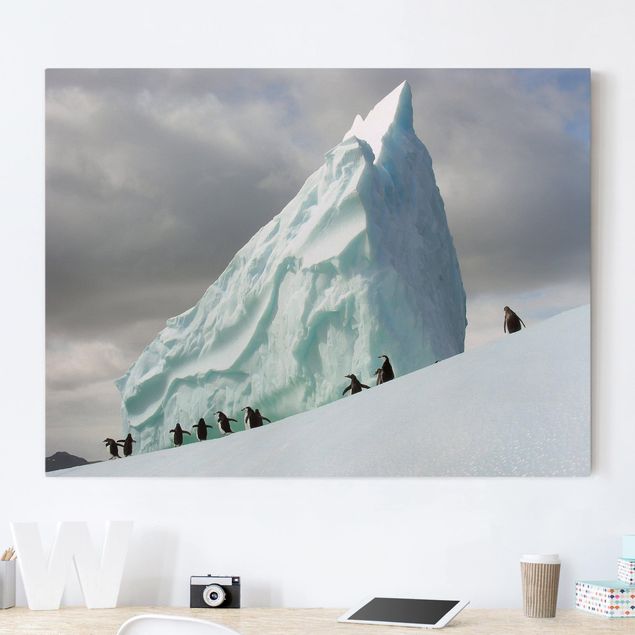 Leinwand Bilder XXL Arctic Penguins