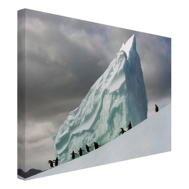 Leinwandbilder Landschaft Arctic Penguins