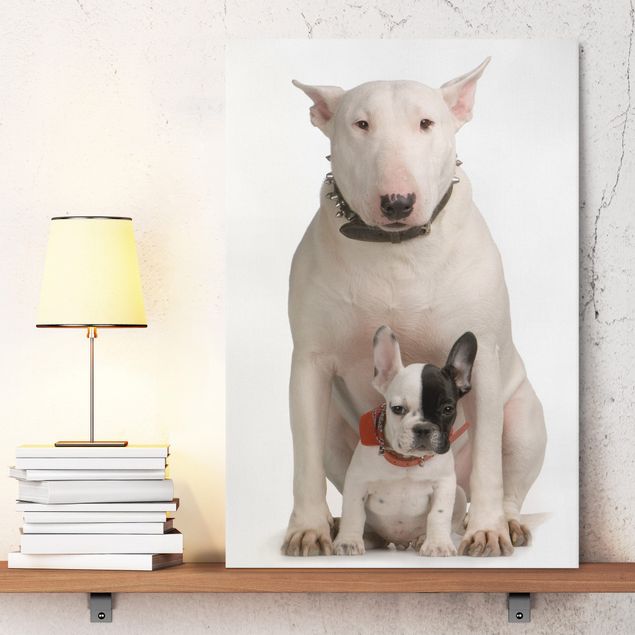 Wandbilder Tiere Bull Terrier and Friend
