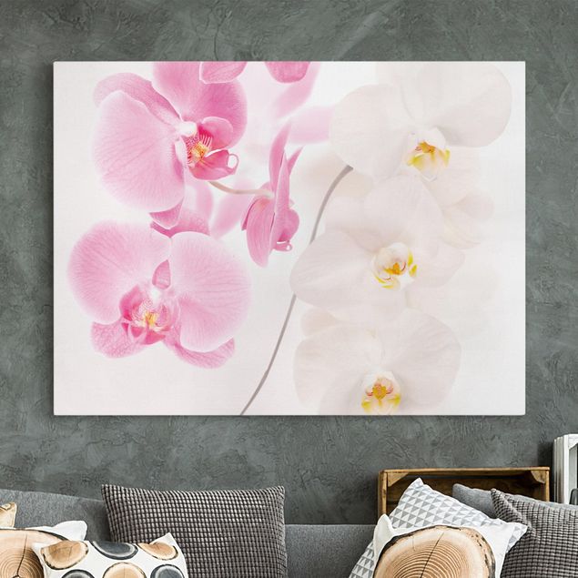 Wandbilder XXL Delicate Orchids