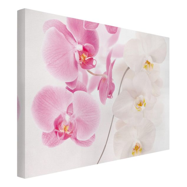 Wandbilder Wohnzimmer modern Delicate Orchids