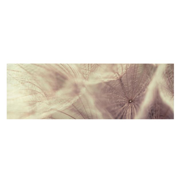 Leinwandbild - Detailreiche Pusteblumen Makroaufnahme mit Vintage Blur Effekt - Panorama Quer