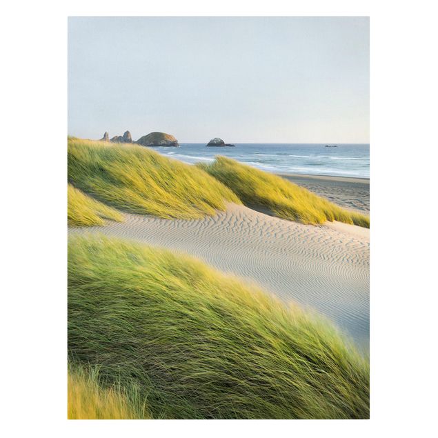 Strand Bild auf Leinwand Dünen und Gräser am Meer