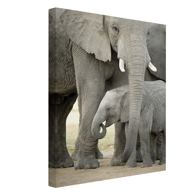 Wandbilder Tiere Elefantenliebe
