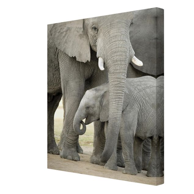 Wandbilder Elefantenliebe