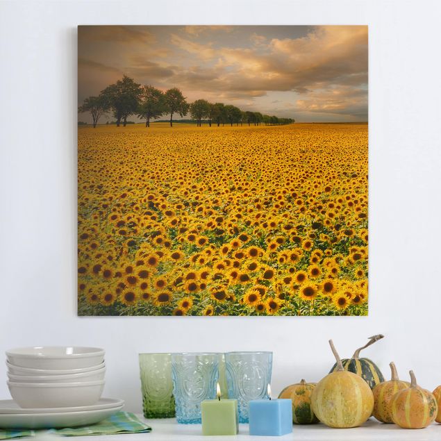 Leinwand Bilder XXL Feld mit Sonnenblumen