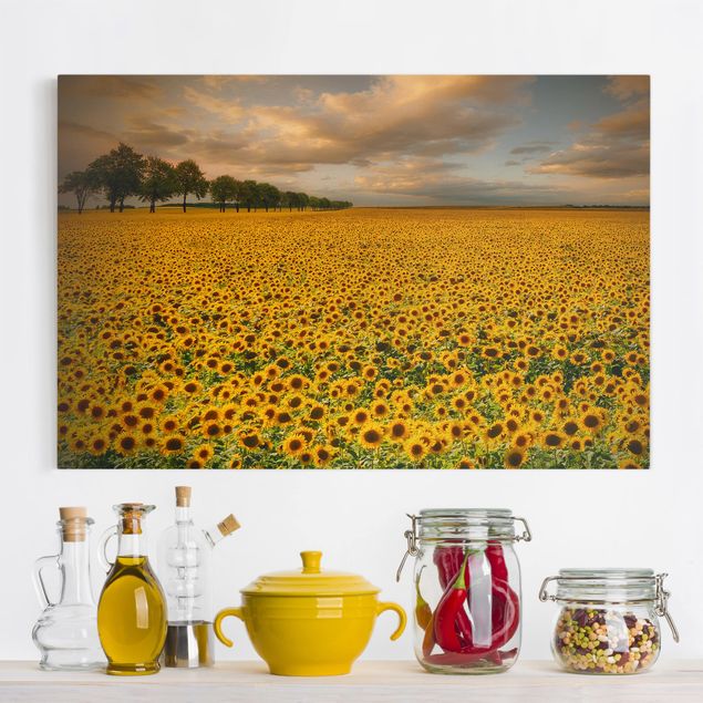 Leinwandbilder XXL Feld mit Sonnenblumen