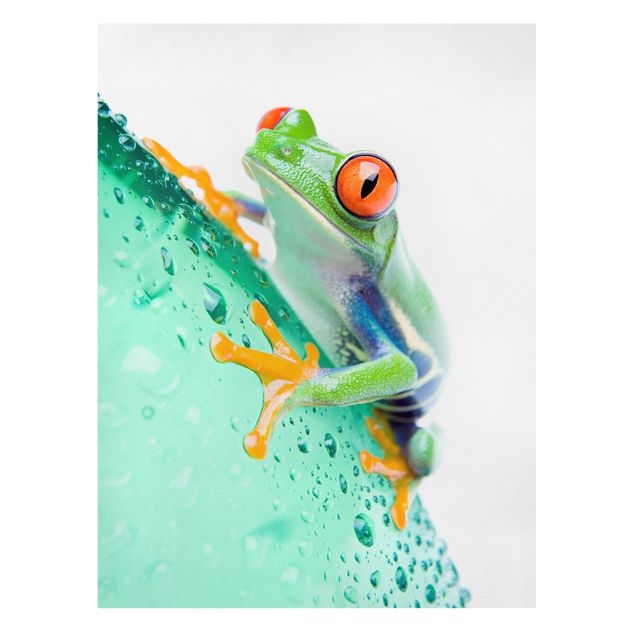 Moderne Leinwandbilder Wohnzimmer Frog