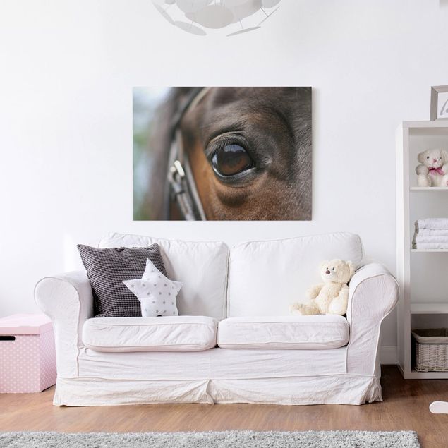Wandbilder Tiere Horse Eye