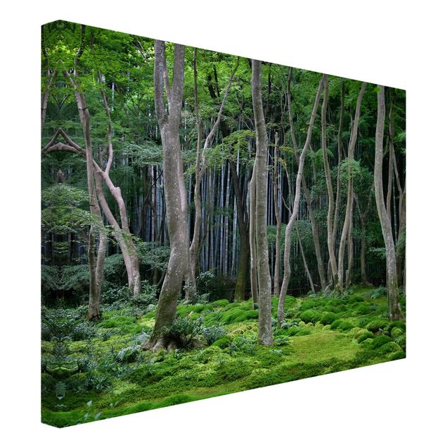 Moderne Leinwandbilder Wohnzimmer Japanischer Wald