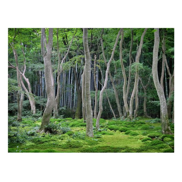 Bilder für die Wand Japanischer Wald
